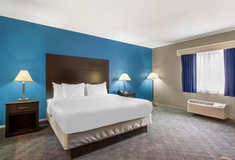 חדר סטנדרט, מיטת קינג, מותאם לאדם עם מוגבלויות, Comfort Inn & Suites Mundeleinvernon Hills