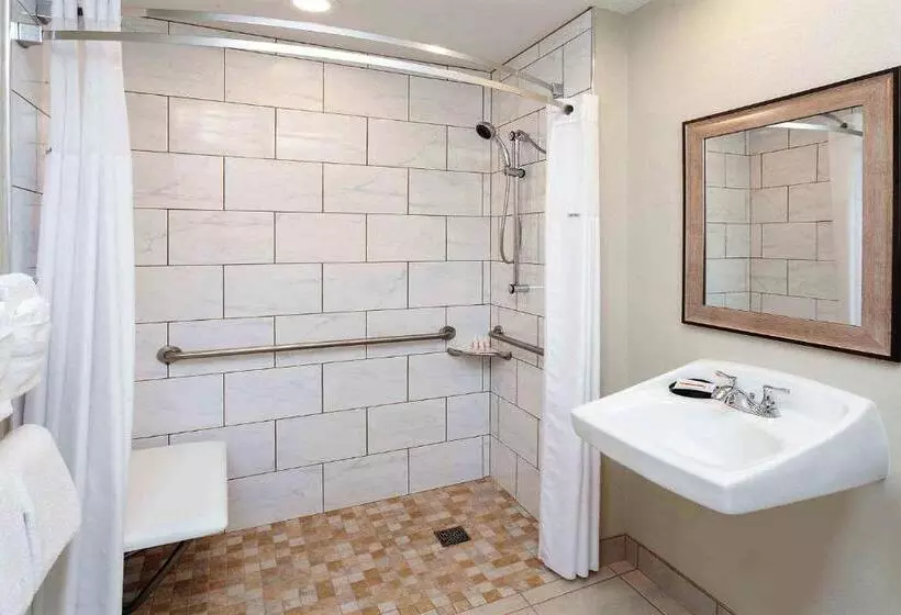 身障者適用キングサイズベッドルーム, Comfort Inn & Suites Mundeleinvernon Hills