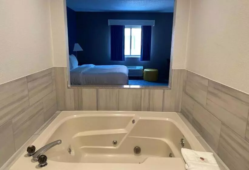 キングサイズベッドのスイートルーム, Comfort Inn & Suites Mundeleinvernon Hills