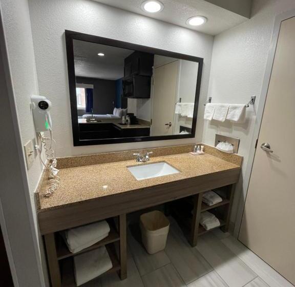 מיטת קינג בסוויטה, Comfort Inn & Suites Mundeleinvernon Hills