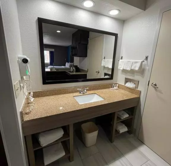 スイート, Comfort Inn & Suites Mundeleinvernon Hills