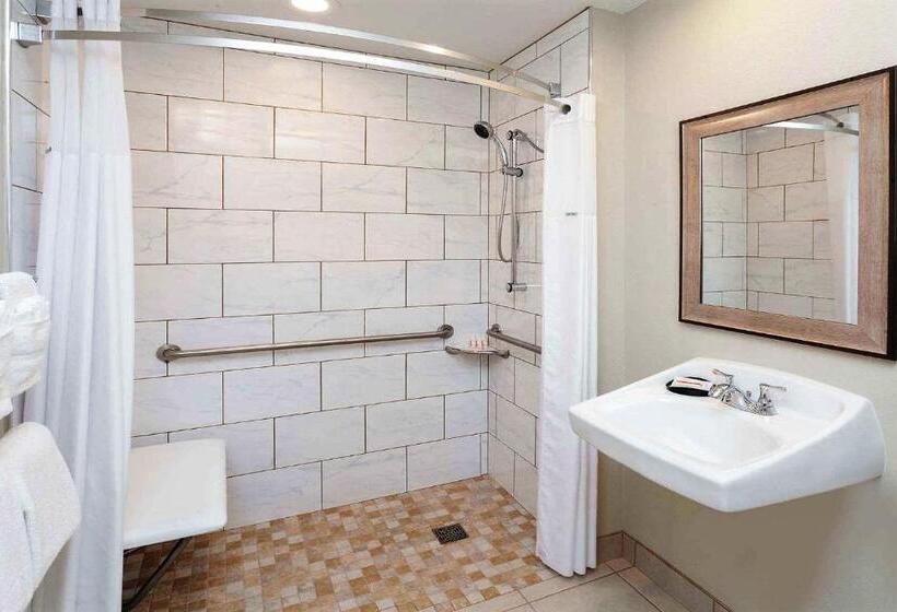 Номер Стандарт Адаптированный для Инвалидов, Comfort Inn & Suites Mundeleinvernon Hills