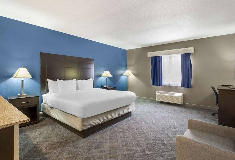 סוויטה, Comfort Inn & Suites Mundeleinvernon Hills