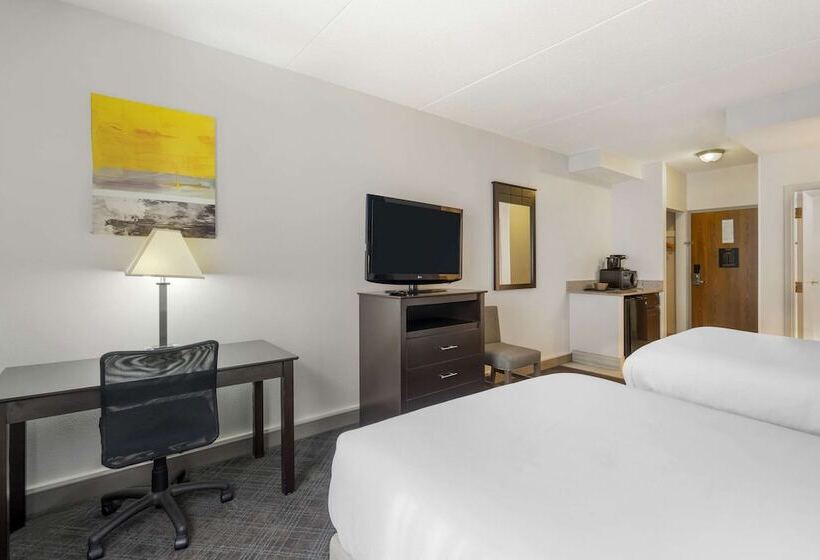 Номер Стандарт 2 Двуспальные Кровати, Comfort Inn & Suites Mundeleinvernon Hills