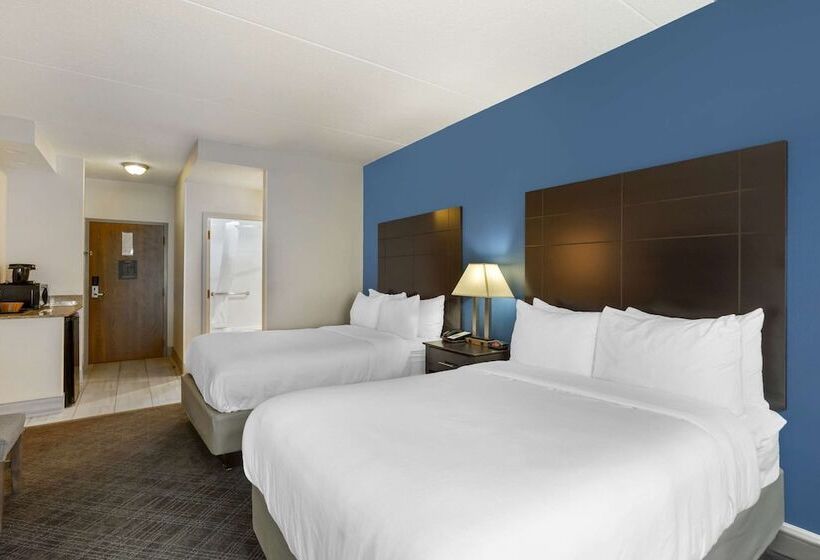 חדר סטנדרט שתי מיטות זוגיות, Comfort Inn & Suites Mundeleinvernon Hills
