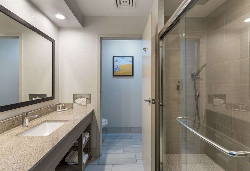 Люкс, Comfort Inn & Suites Mundeleinvernon Hills