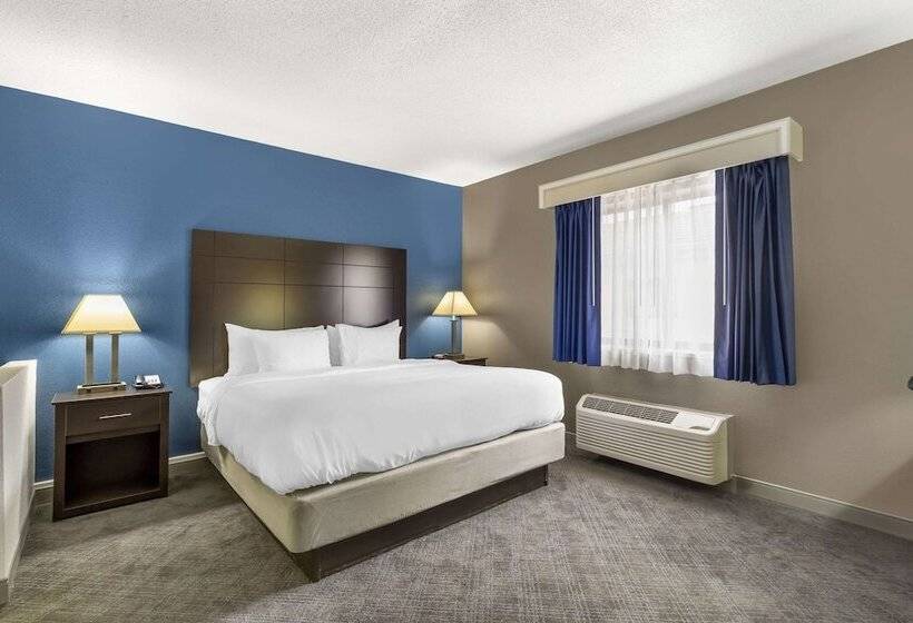 סוויטה, Comfort Inn & Suites Mundeleinvernon Hills