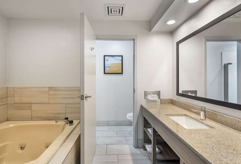 סוויטה, Comfort Inn & Suites Mundeleinvernon Hills