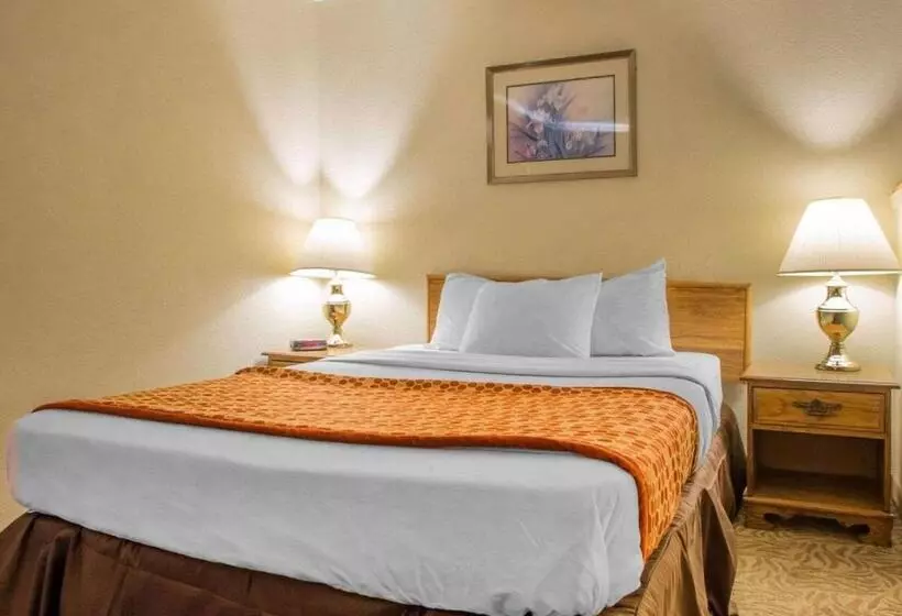 キングサイズベッドのスイートルーム, Econo Lodge Inn & Suites