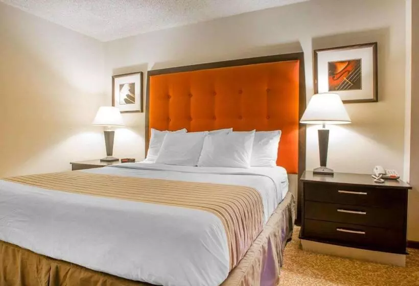 キングサイズベッドのスタンダードルーム, Econo Lodge Inn & Suites