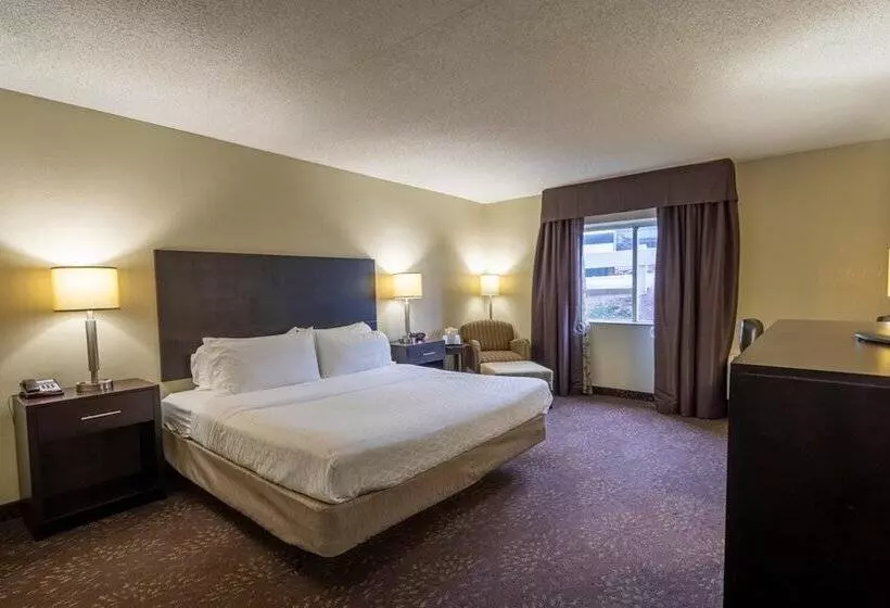 スタンダードルーム, Holiday Inn Express Hotel & Suites Pittsburgh Airport, An Ihg