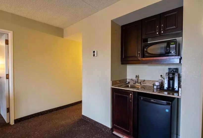 スイート, Holiday Inn Express Hotel & Suites Pittsburgh Airport, An Ihg