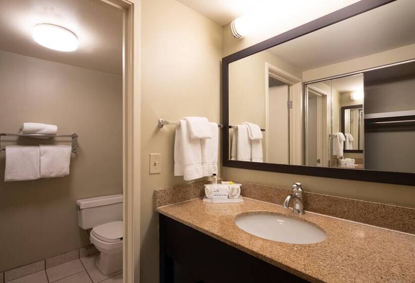 جناح, Holiday Inn Express Hotel & Suites Pittsburgh Airport, An Ihg