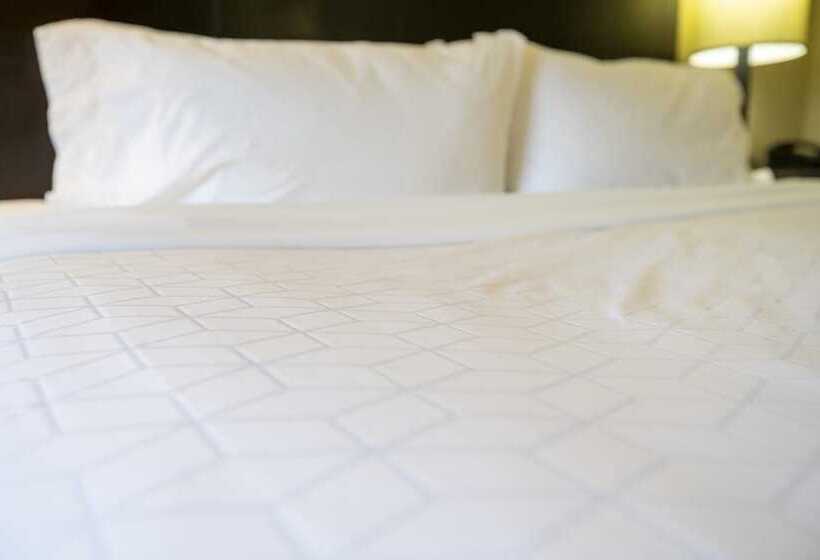 جناح, Holiday Inn Express Hotel & Suites Pittsburgh Airport, An Ihg