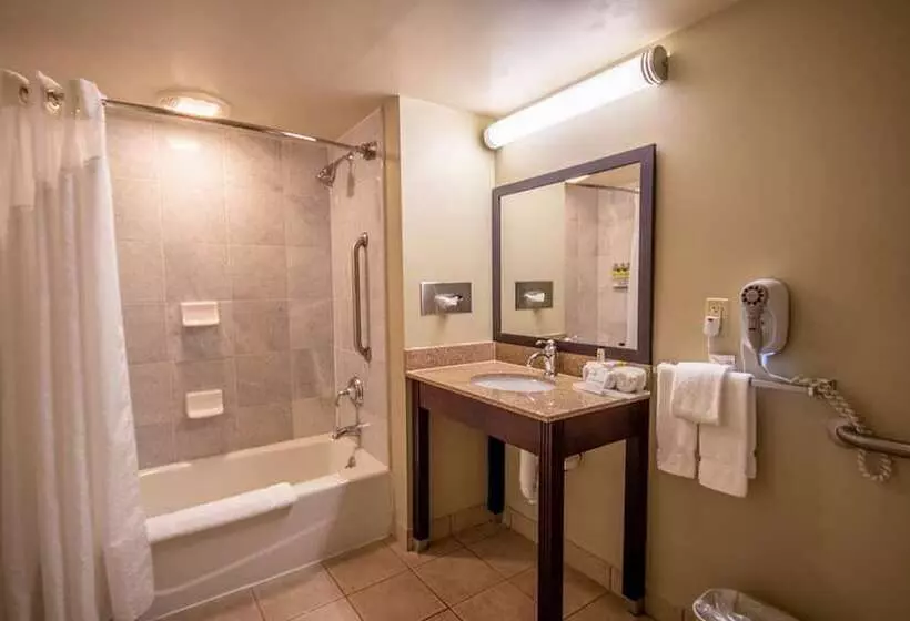 سوئیت برای معلولان, Holiday Inn Express Hotel & Suites Pittsburgh Airport By Ihg
