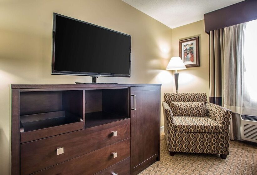 اتاق استاندارد با 2 تخت دوبل, Quality Inn O'Hare Airport