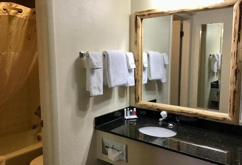 غرفة قياسية, Ramada By Wyndham Butte