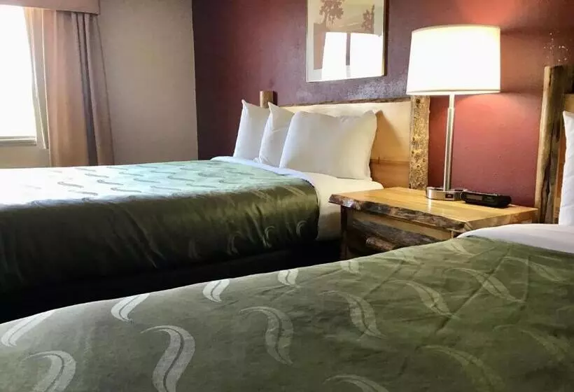 اتاق استاندارد, Ramada By Wyndham Butte