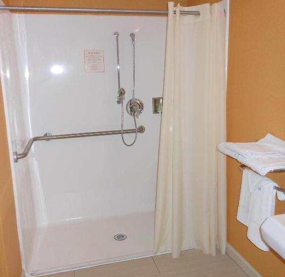 اتاق استاندارد با تخت بزرگ, Rodeway Inn University