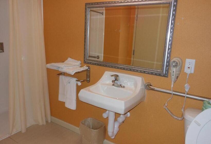 חדר סטנדרט עם מיטת קינג, Rodeway Inn University