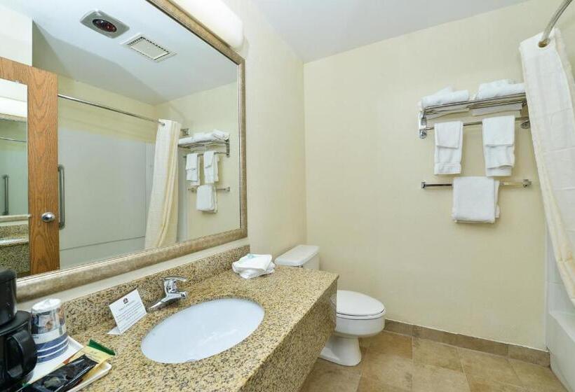 Номер Стандарт, Deluxe Inn Wytheville