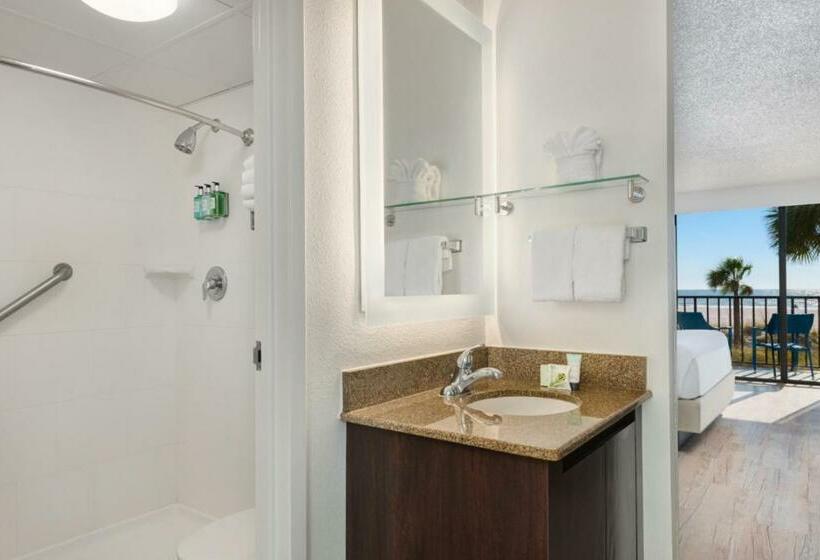 غرفة قياسية مطلّة علي البحر, Sirata Beach Resort