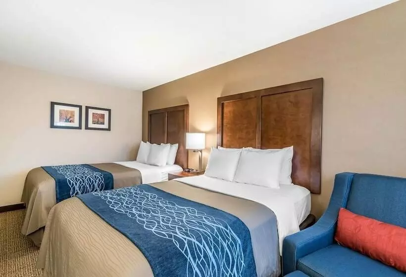 ２ダブルベッドのスタンダードルーム, Comfort Inn Concord