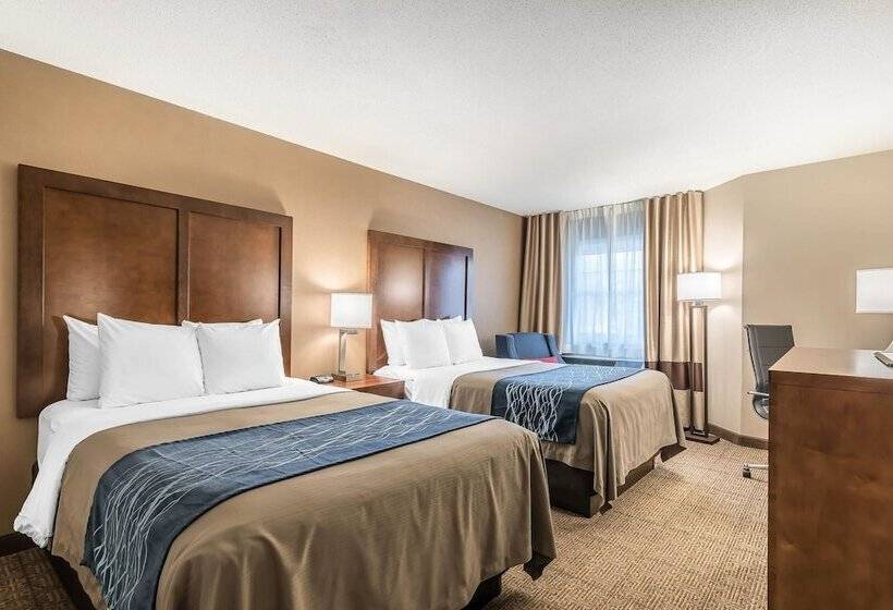 غرفه قياسيه سريرين مزدوجين, Comfort Inn Concord