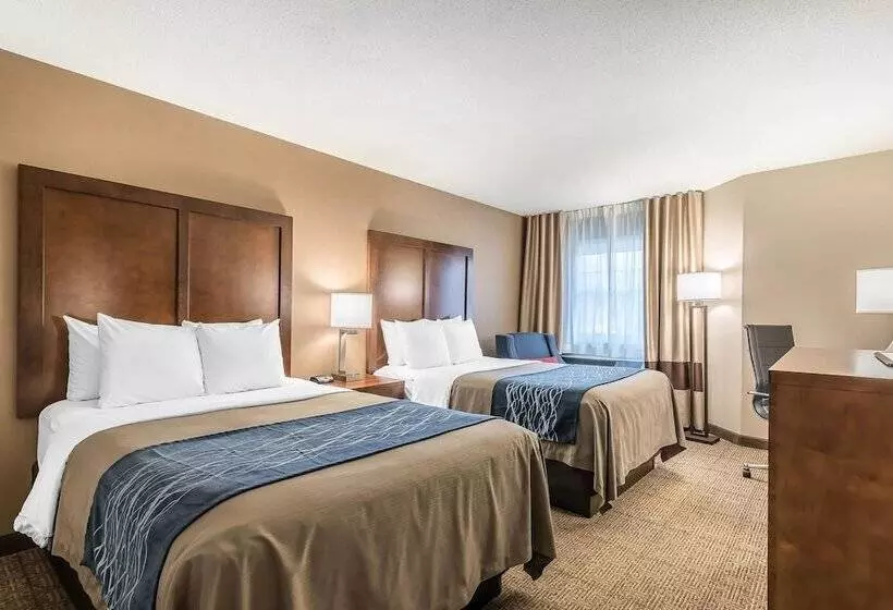 ２ダブルベッドのスタンダードルーム, Comfort Inn Concord