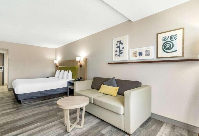 キングサイドベッドのスタンダードワンルーム, Country Inn & Suites By Radisson, Atlanta Airport South, Ga