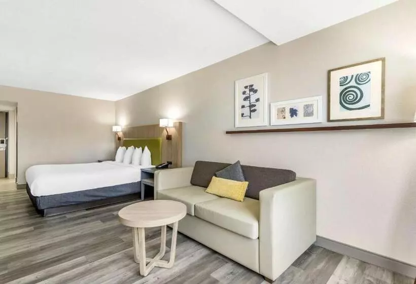 استودیو استاندارد با تخت کینگ, Country Inn & Suites By Radisson, Atlanta Airport South, Ga
