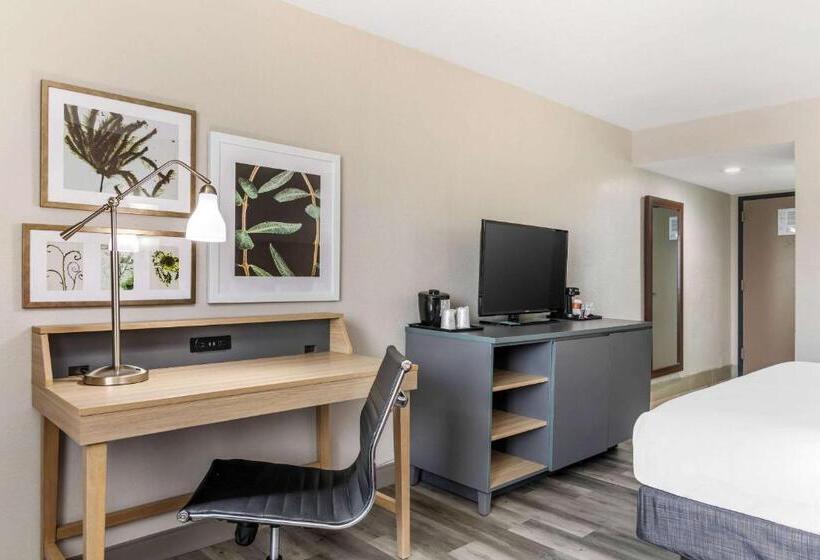 キングサイズベッドのスタンダードルーム, Country Inn & Suites By Radisson, Atlanta Airport South, Ga