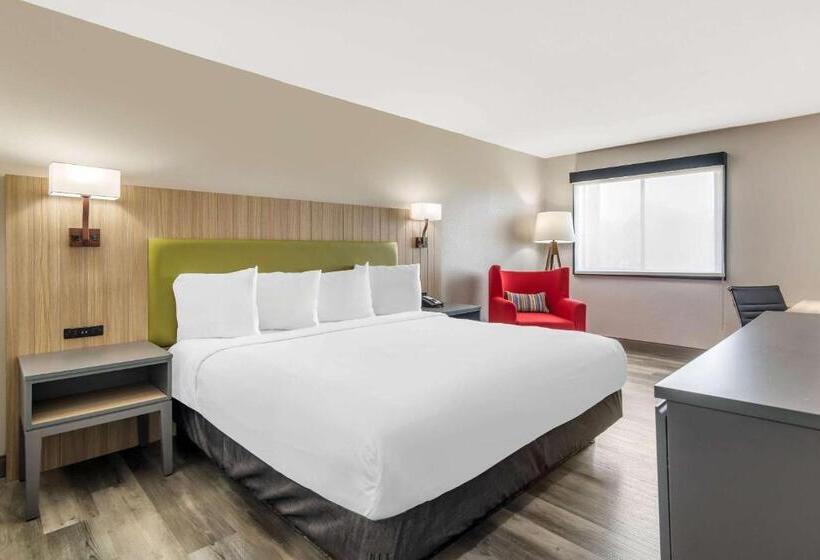 스탠다드 룸 킹사이즈 침대, Country Inn & Suites By Radisson, Atlanta Airport South, Ga