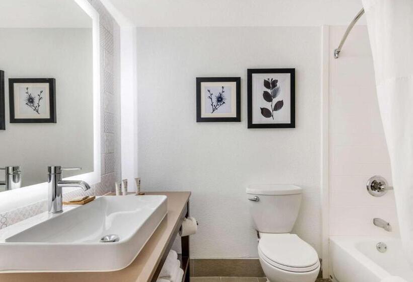 スタンダードルーム, Country Inn & Suites By Radisson, Atlanta Airport South, Ga