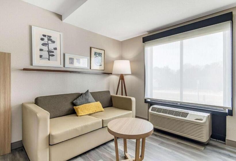 スタンダードスタジオ, Country Inn & Suites By Radisson, Atlanta Airport South, Ga