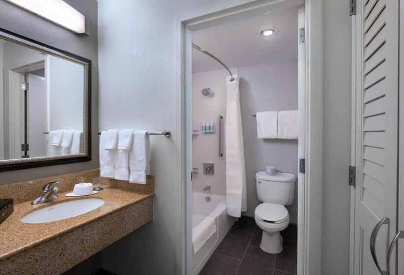 Habitació Estàndard Llit King, Courtyard By Marriott Dallas Arlington Entertainment District