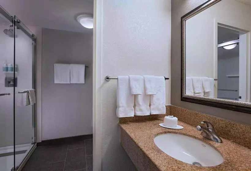 キングサイズベッドのスタンダードルーム, Courtyard By Marriott Dallas Arlington Entertainment District