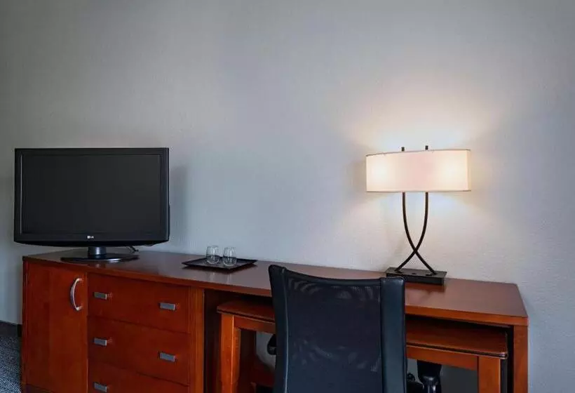 キングサイズベッドのスタンダードルーム, Courtyard By Marriott Dallas Arlington Entertainment District