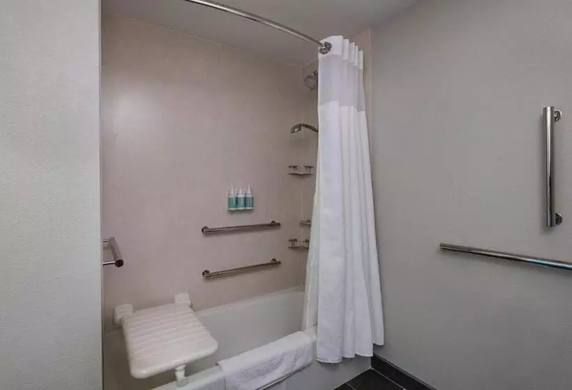 スタンダードルーム, Courtyard By Marriott Dallas Arlington Entertainment District
