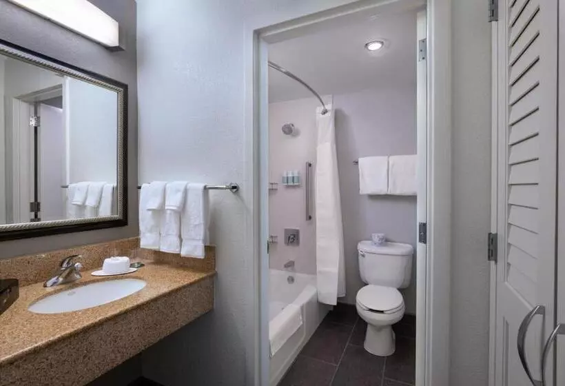 スタンダードルーム, Courtyard By Marriott Dallas Arlington Entertainment District