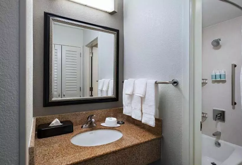 スタンダードルーム, Courtyard By Marriott Dallas Arlington Entertainment District