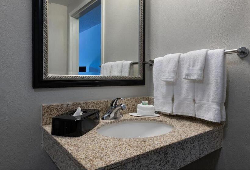스위트 킹사이즈 침대, Courtyard By Marriott Dallas Arlington Entertainment District