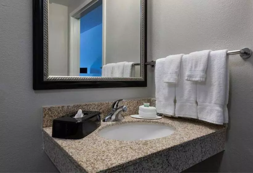 キングサイズベッドのスイートルーム, Courtyard By Marriott Dallas Arlington Entertainment District
