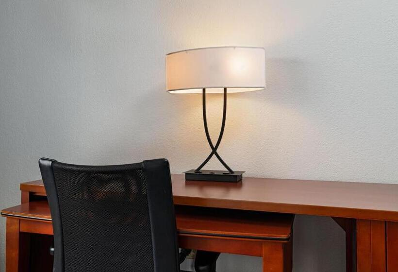 스위트 킹사이즈 침대, Courtyard By Marriott Dallas Arlington Entertainment District