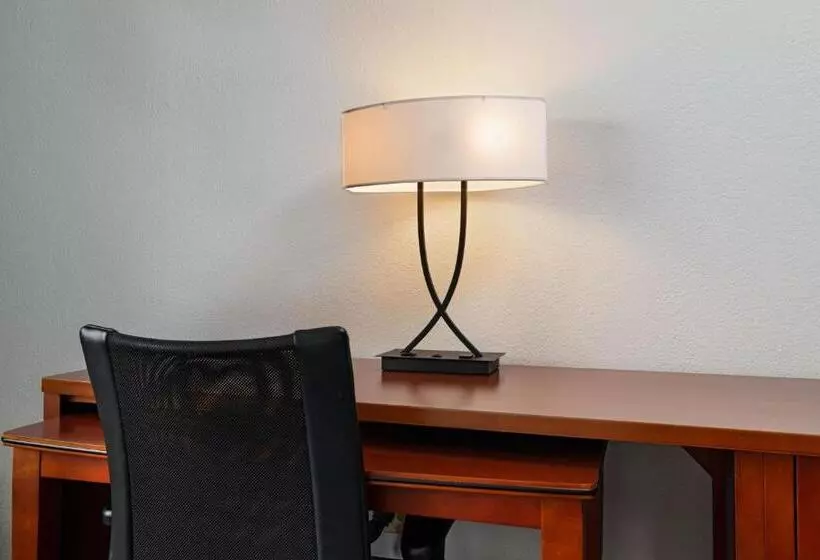 キングサイズベッドのスイートルーム, Courtyard By Marriott Dallas Arlington Entertainment District