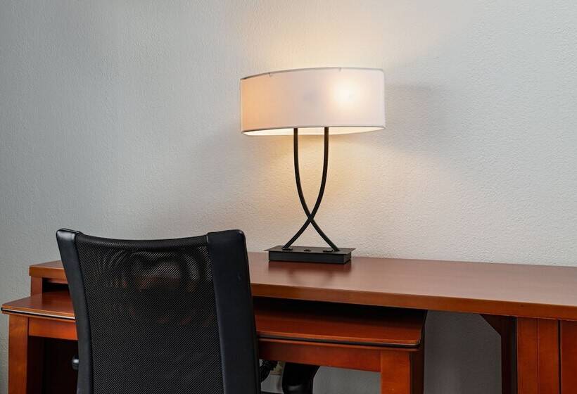 스위트, Courtyard By Marriott Dallas Arlington Entertainment District