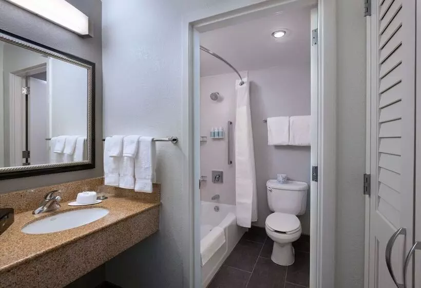 身障者適用スイートルーム, Courtyard By Marriott Dallas Arlington Entertainment District