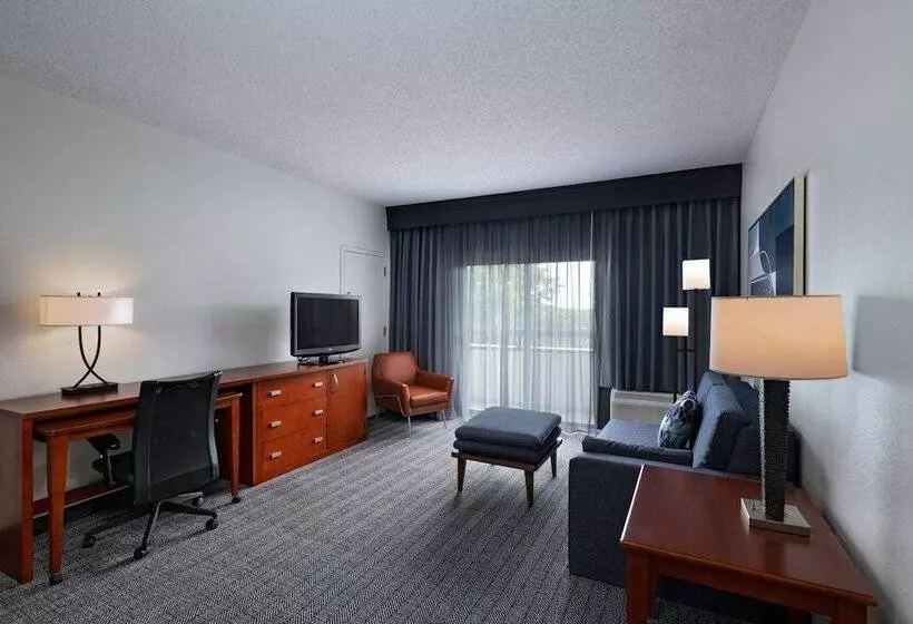 身障者適用スイートルーム, Courtyard By Marriott Dallas Arlington Entertainment District