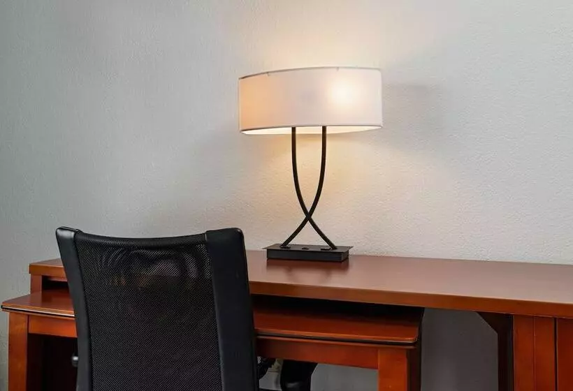 身障者適用スイートルーム, Courtyard By Marriott Dallas Arlington Entertainment District