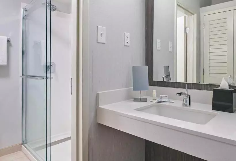 スイート, Courtyard By Marriott Indianapolis Castleton